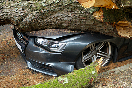 Danno mortale – auto che esce di strada causa velocità e finisce contro un albero posizionato al lato della strada