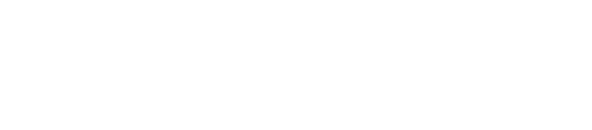 logo INFORTUNISTICA VENETA BOLOGNA